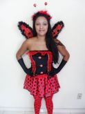 joaninha